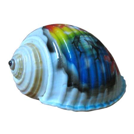 $item->item_name